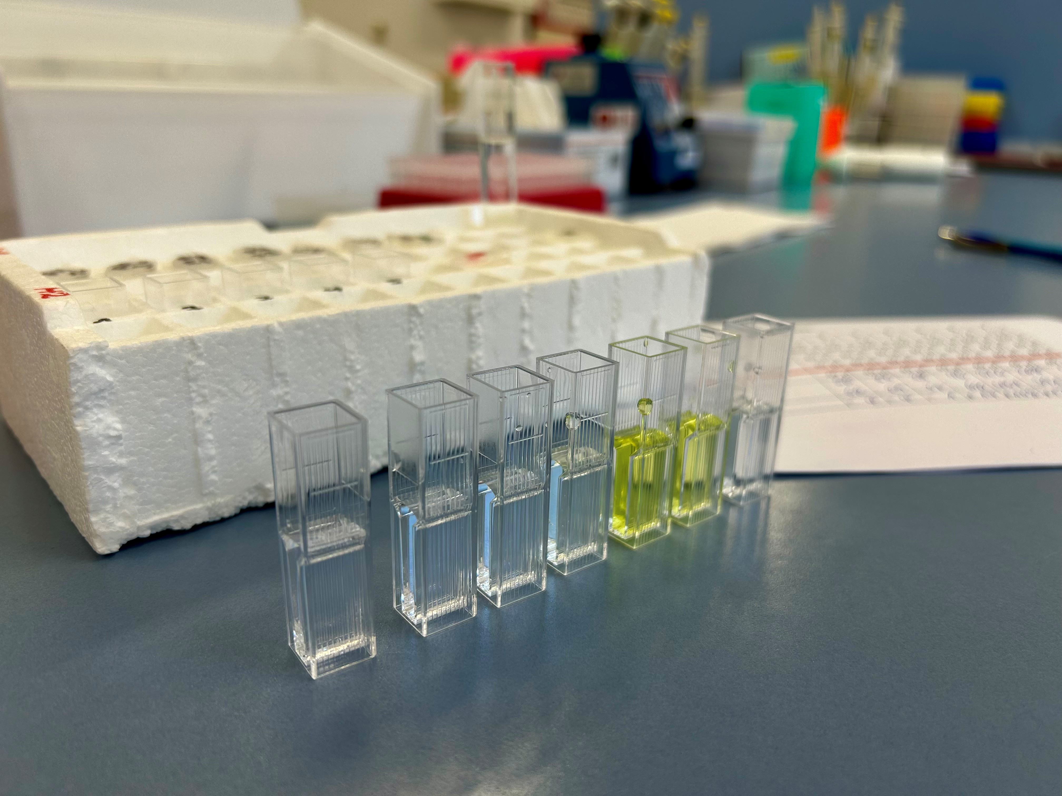 Versuch-Enzyme